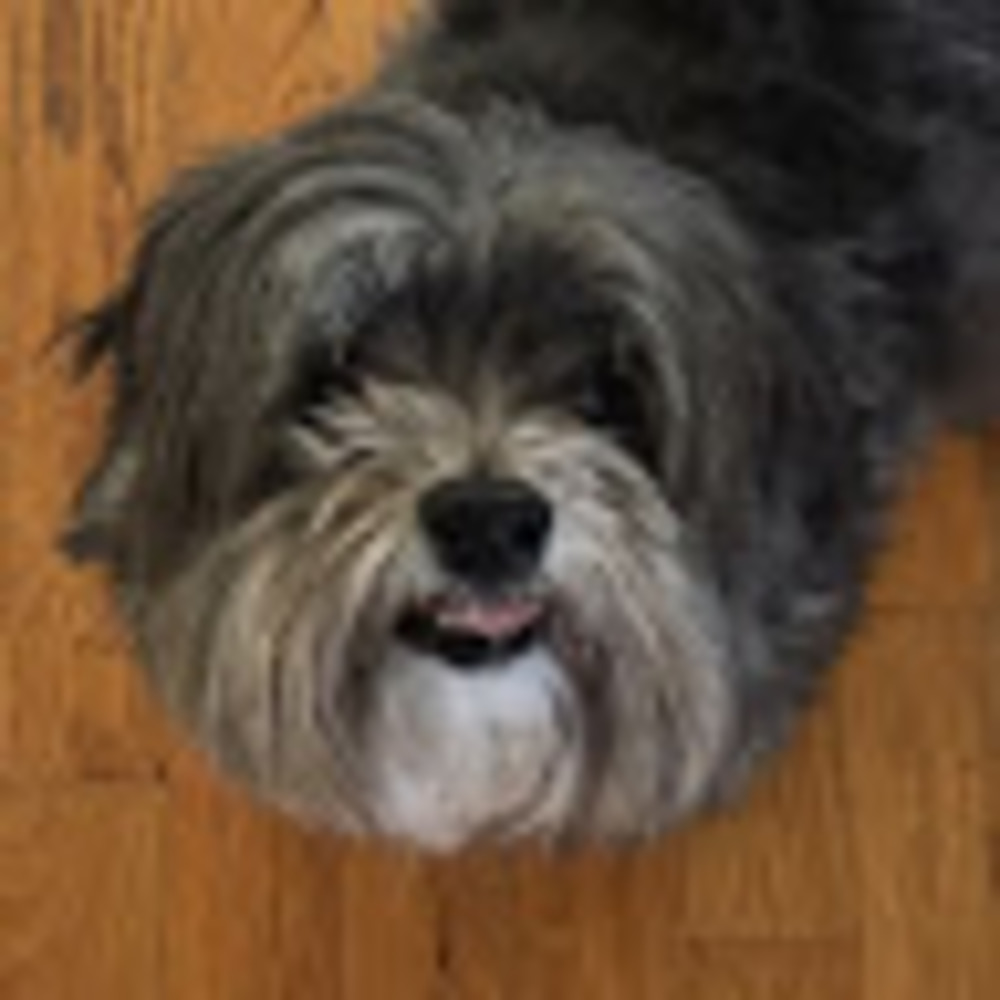 Meet your Posher, Addison